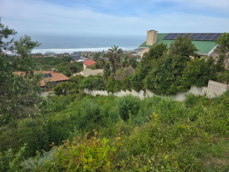 0 Bedroom Property for Sale in Outeniqua Strand Western Cape